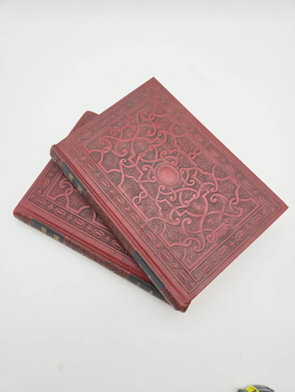 The Wonderland of Knowledge Two Books Hobbies Decor
